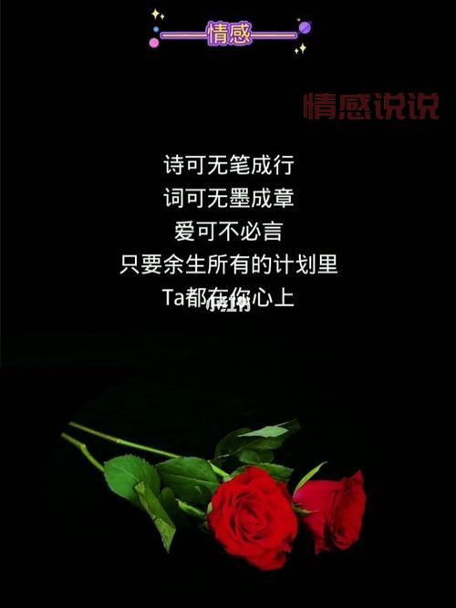 情感语录长篇：深情爱情感言，触动内心深处