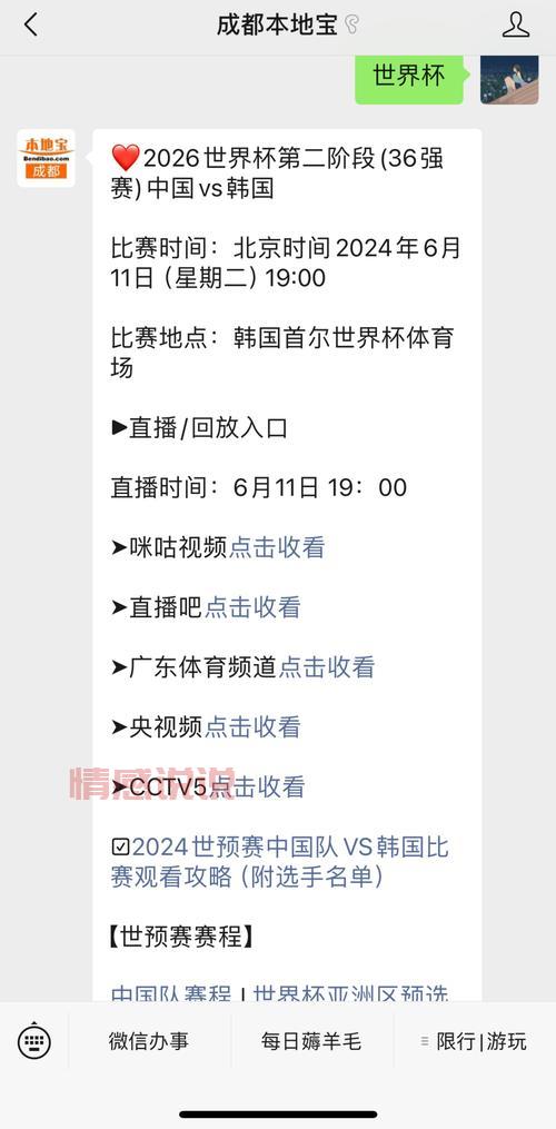 中国足球队比赛直播入口：免费观看实时赛事