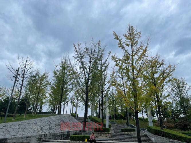 如何找到西安论坛网址？西安网民必备指南