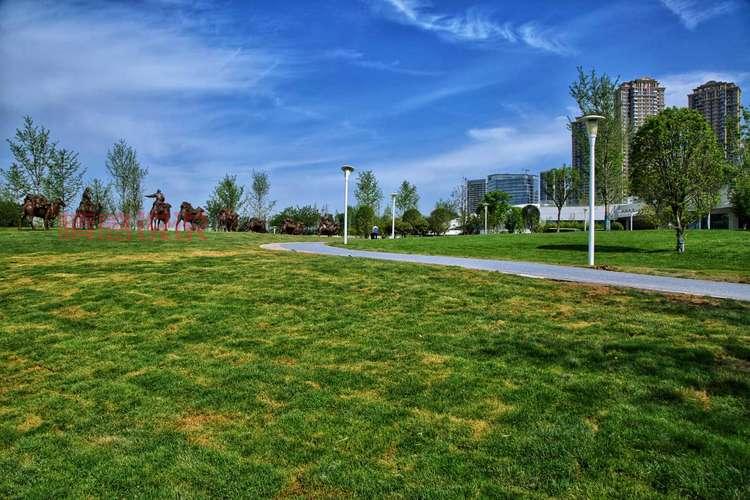 如何找到西安论坛网址？西安网民必备指南