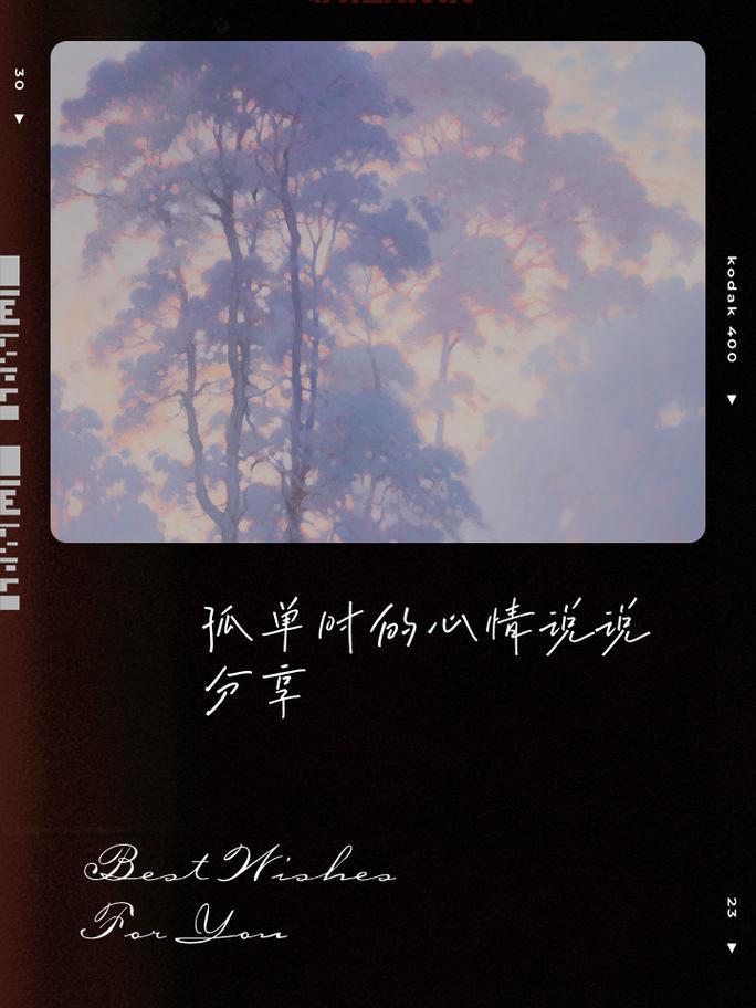 男人说说情感：孤独时的陪伴与心灵独白