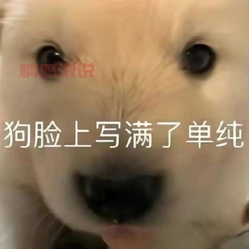 100个热门话题聊天大全，让你不再冷场！