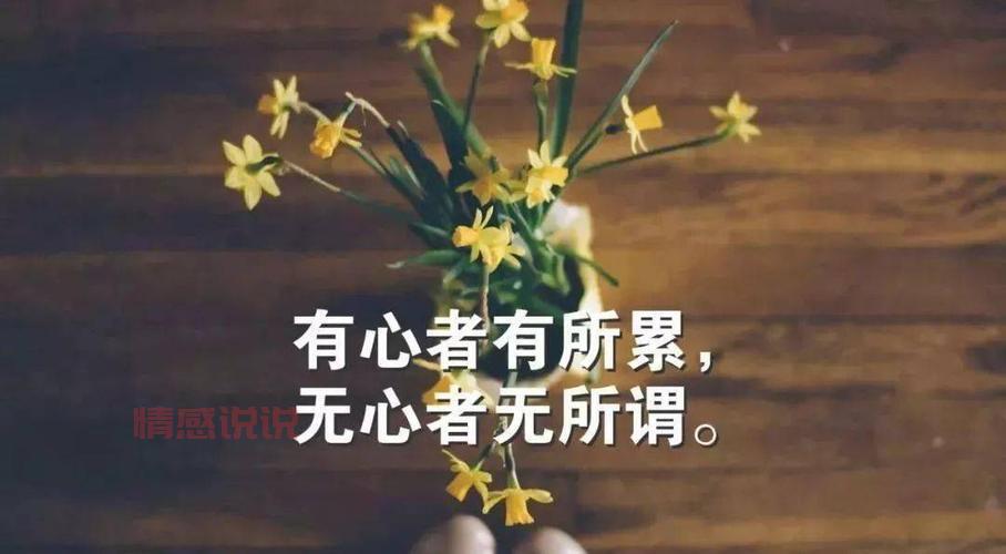 感情心累的说说：那些无声的痛与不舍