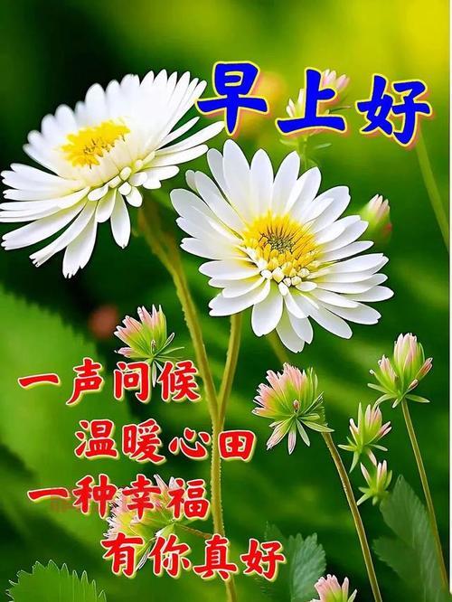 早安心语情感短语集锦：开启美好一天的正能量