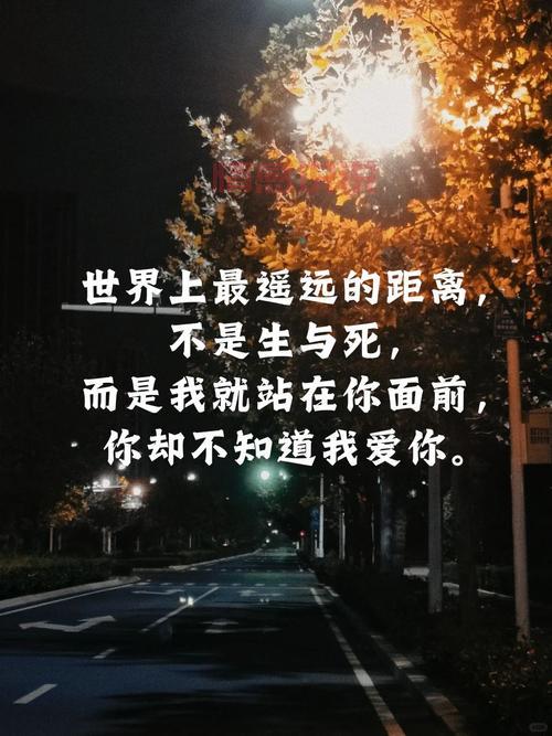深情的伤感说说大全，感受心碎时刻的共鸣