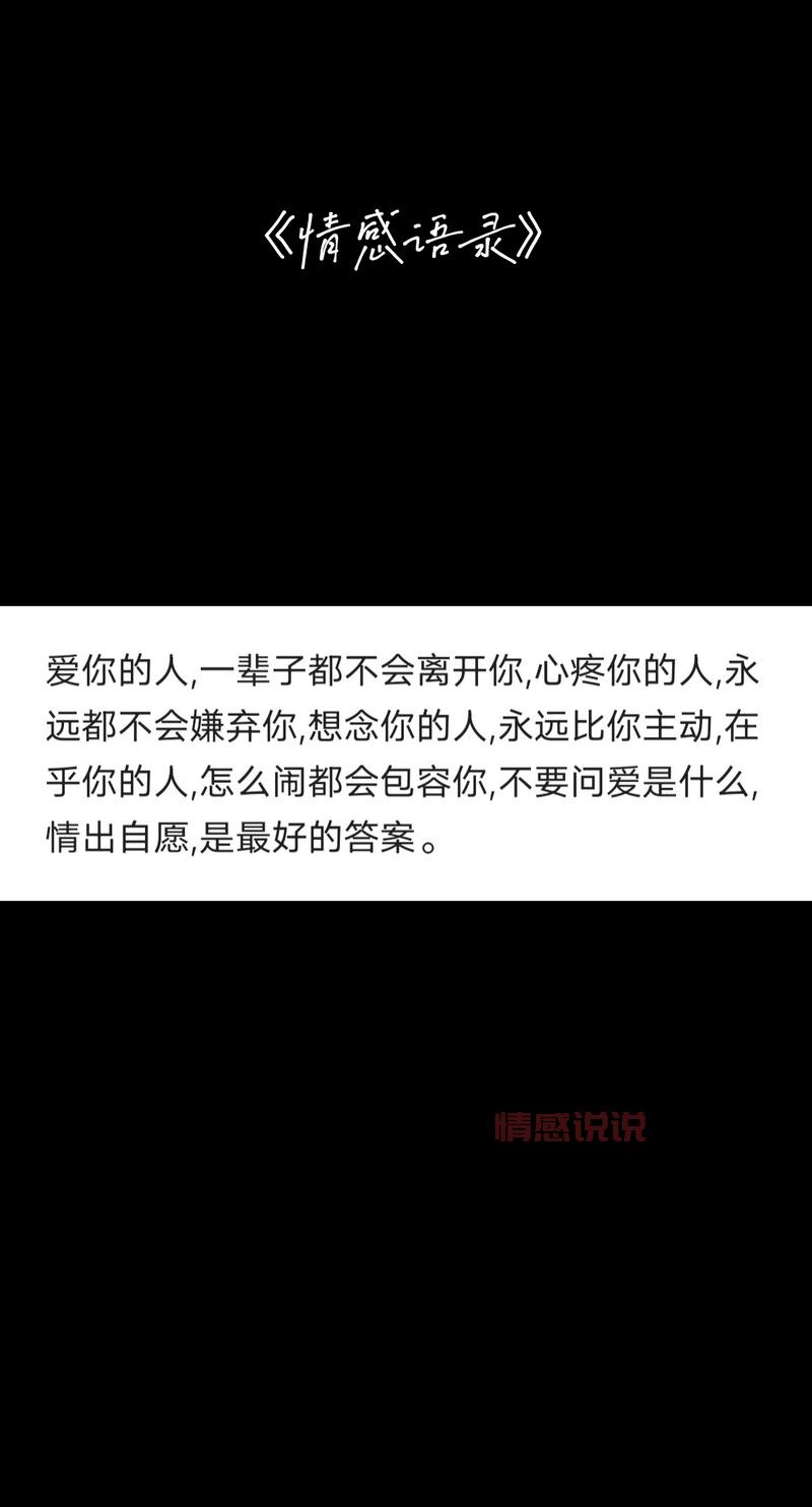 情感语录精选：记录深情与感悟的时光