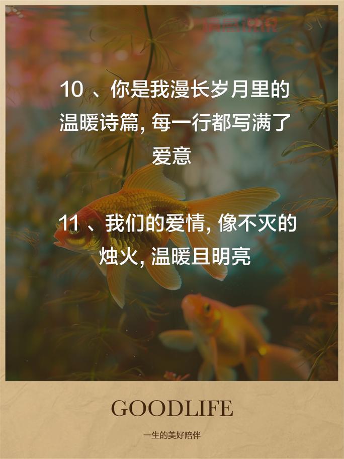 情感说说大全长篇说说：暖心语录分享你的心情