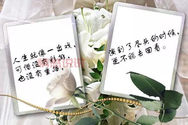 触动人心的情感说说：人生八苦，苦中有悟