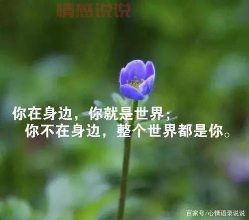 触动人心的情感说说：人生八苦，苦中有悟