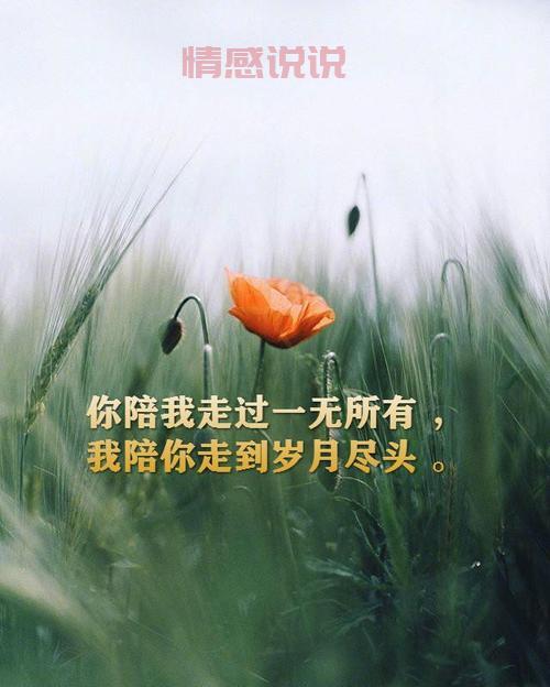 触动人心的情感说说：人生八苦，苦中有悟