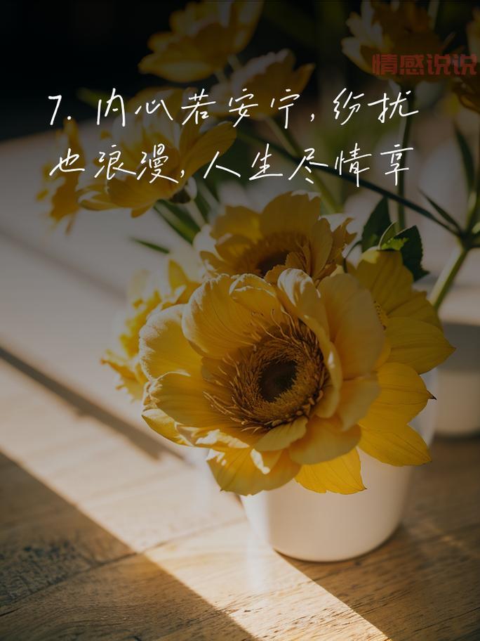 感情与情感说说：那些触动心灵的真挚瞬间