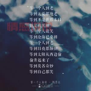 情感咨询的说说推荐：走出情感困惑的指南