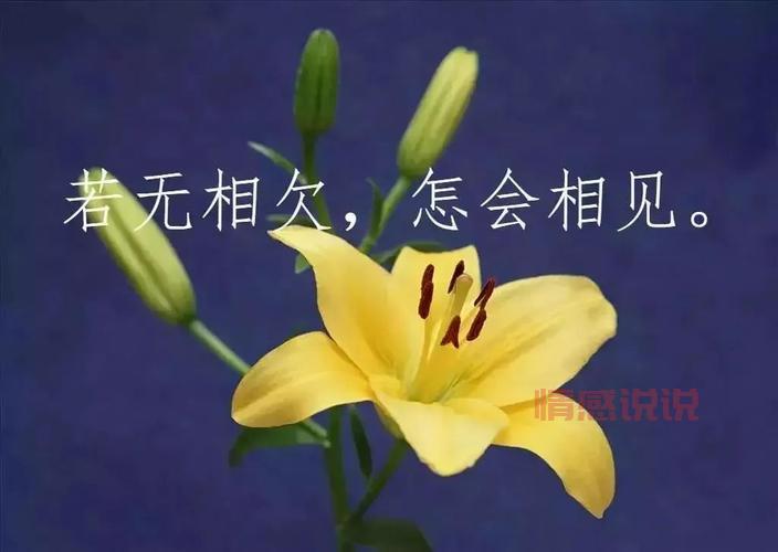 中年岁月的温情告白：关于中老年人情感的真实感悟