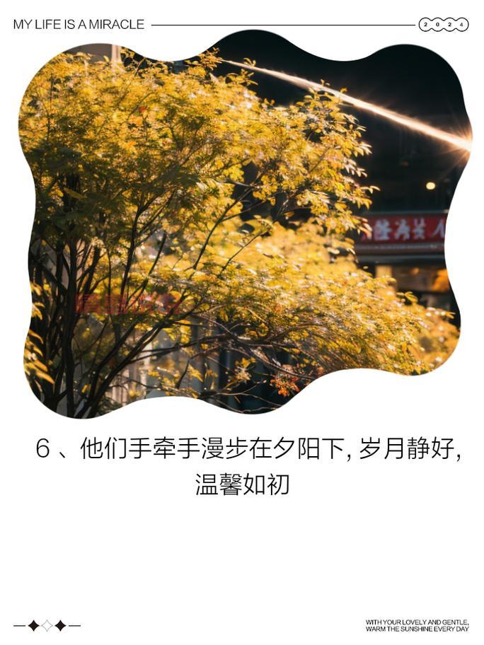 中年岁月的温情告白：关于中老年人情感的真实感悟