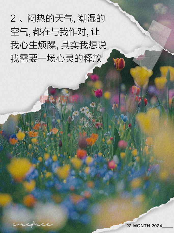 情感心情短语大全：让你一秒释放内心情绪