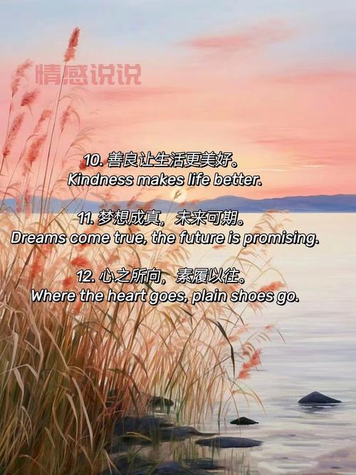 情感英文说说心情短语：治愈心灵的浪漫语录精选