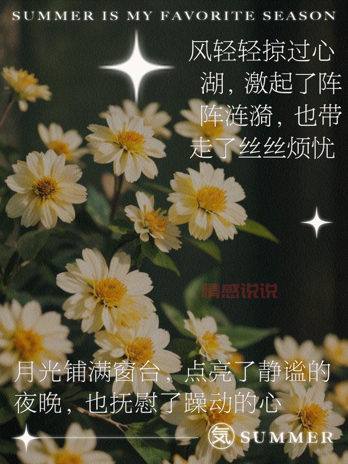 「每日一句情感短句说说，温暖你心灵的瞬间」