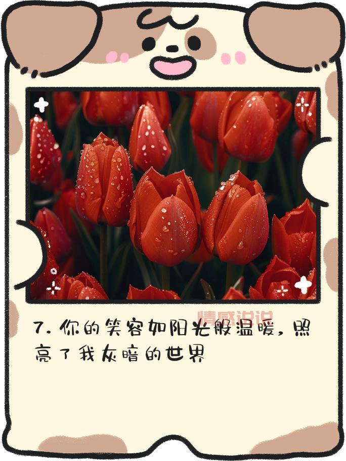 汇聚最新语录说说情感，品味心灵共鸣