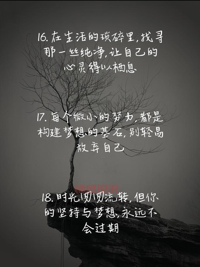 情感空间说说大全：温暖心灵的文字分享