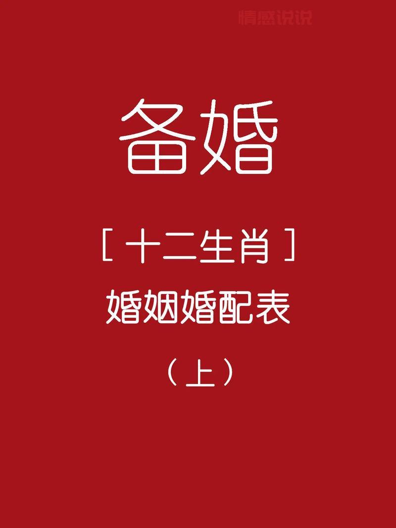 十二生肖婚姻属相配对大全很准，助你找到真爱