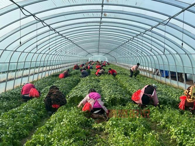 宁晋贴吧热门讨论：宁晋本地生活交流中心