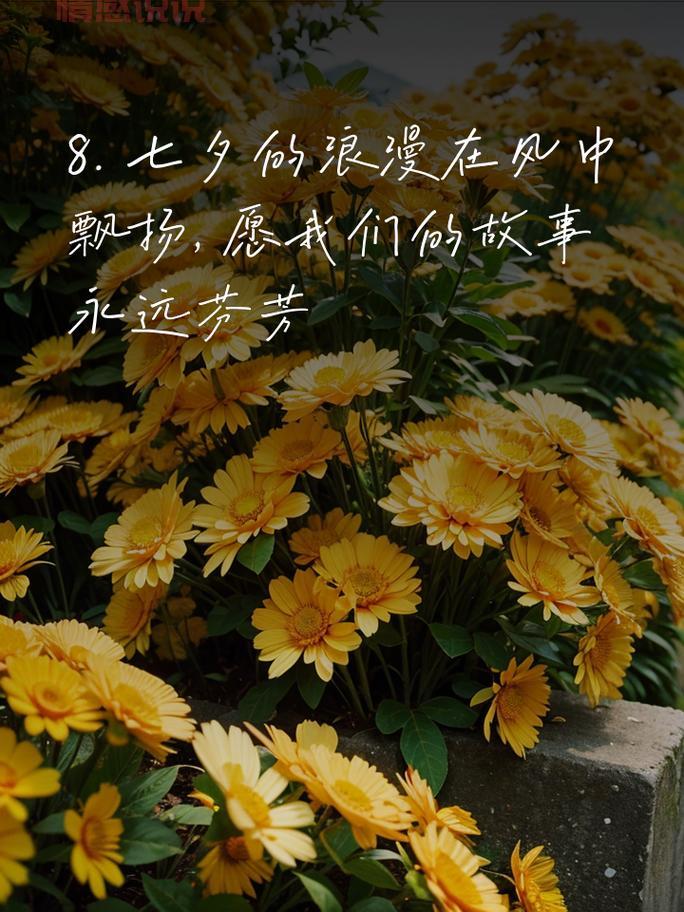 七夕情感说说心情短语：让爱情在文字中绽放浪漫