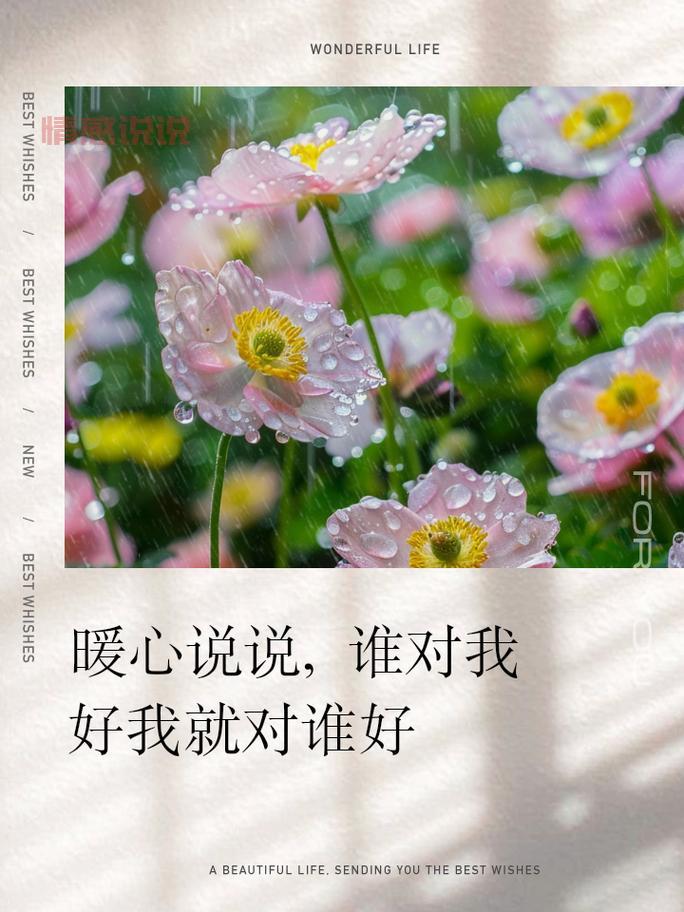 十几年的朋友情谊，最深的感慨与暖心说说