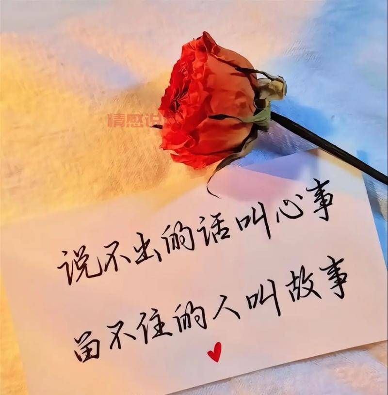 情感语录说说配图：让文字与图片一起诉说心声