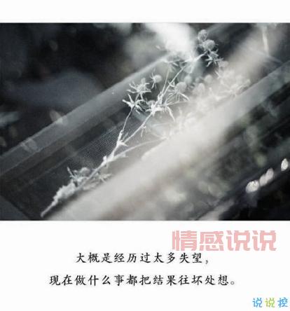 深情不再，心酸如旧：最触动人心的伤感说说