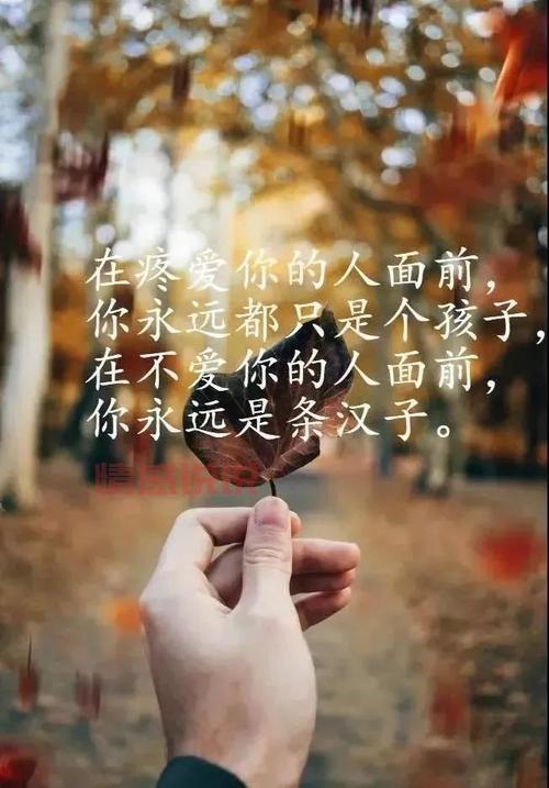 情感说说心情短语励志：让心灵充满力量的唯美句子