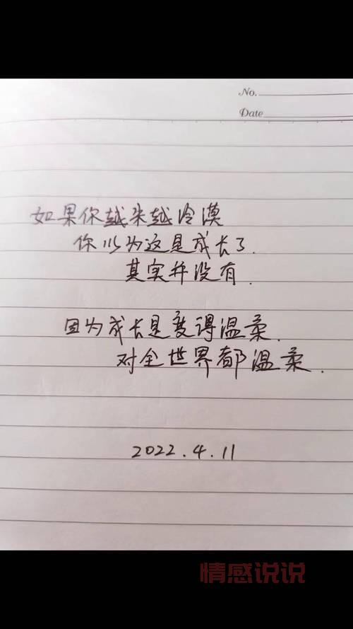 精选生活语录：触动人心的情感说说合集