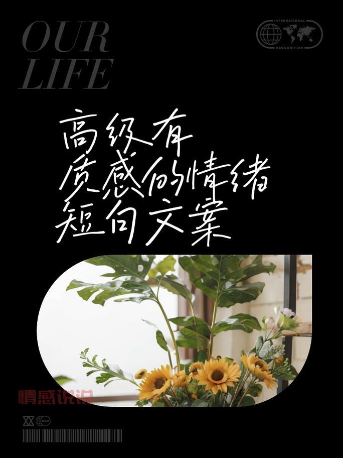 情感文案：适合朋友圈的说说精选，触动心灵的短句