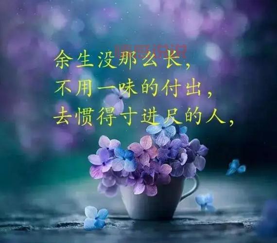 情感说说带图片：触动心灵的经典语录与美图