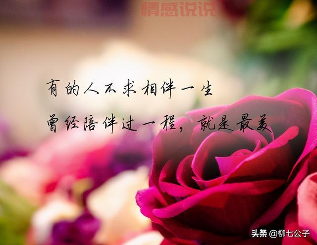 情感说说配图精选：表达心意的最佳方式