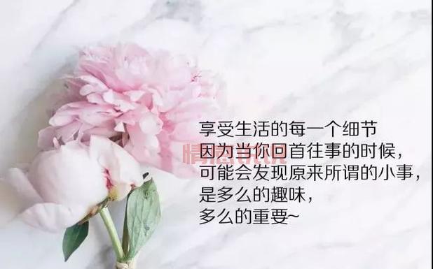 微信说说心情感悟人生：透视人生的哲理与感悟