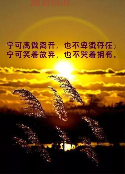 微信说说心情感悟人生：透视人生的哲理与感悟