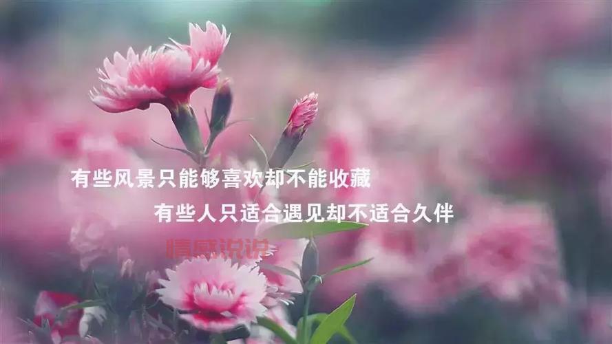 微信说说心情感悟人生：透视人生的哲理与感悟