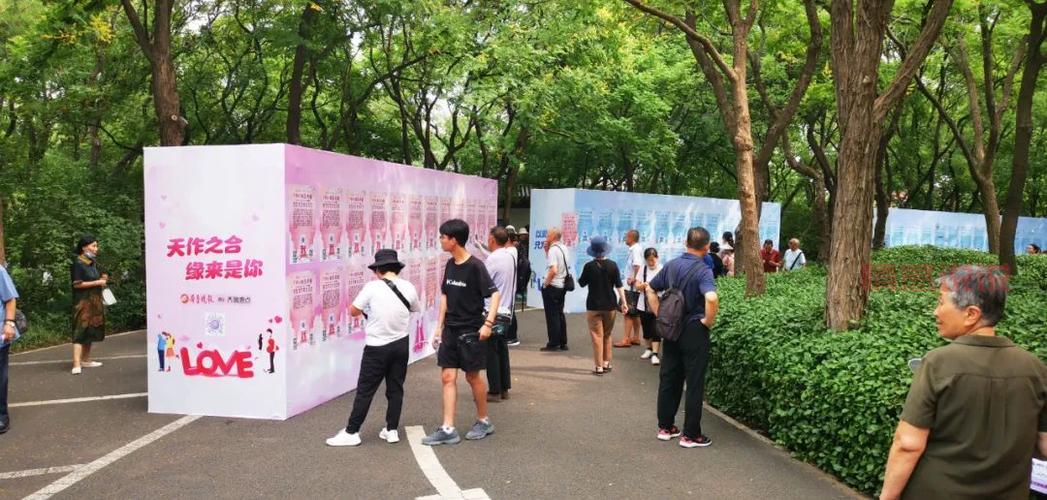 参与百合网相亲会，邂逅理想伴侣的最佳机会