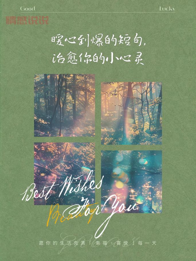 情感说说心情短语带图：治愈心灵的短句与图文分享