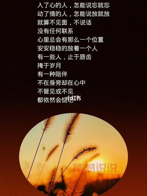 生活情感句子说说心情：感悟人生与爱情的深刻哲理