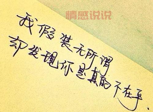 情感的说说句子大全：最打动人心的爱情与人生感悟