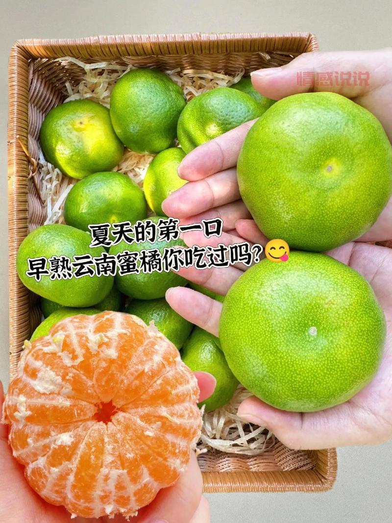 关于橘子的情感说说：你酸我甜，岁月如橘