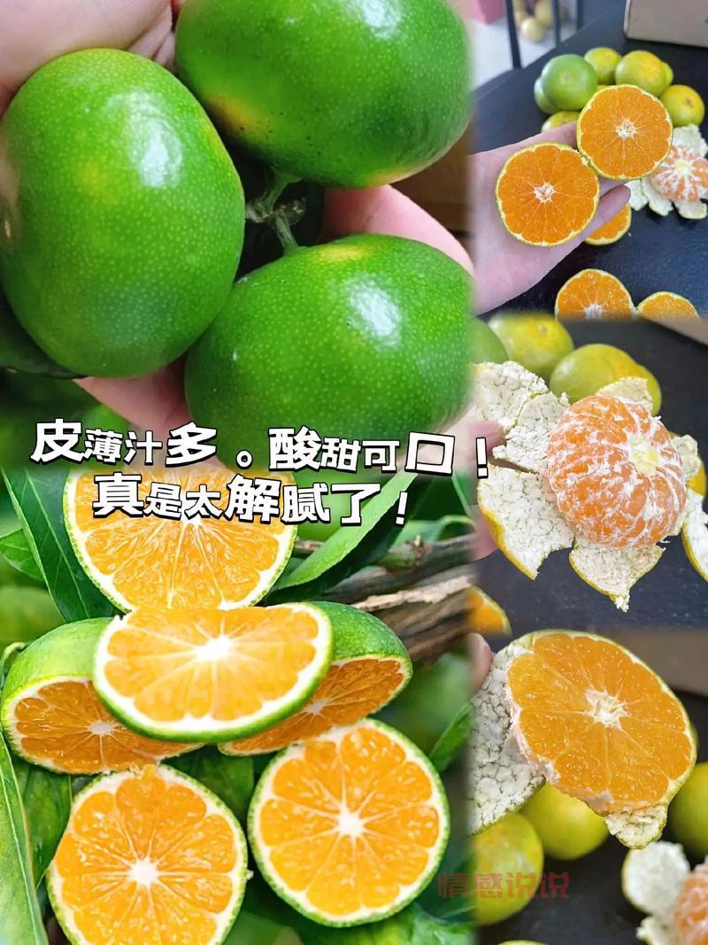 关于橘子的情感说说：你酸我甜，岁月如橘