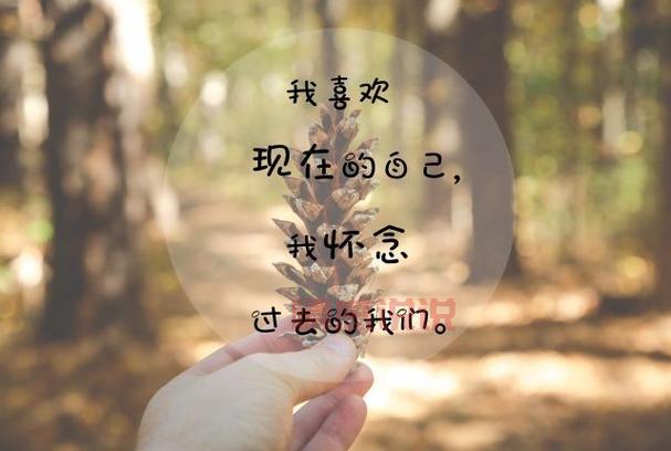 感情情感说说心情短语：温暖你的每一天