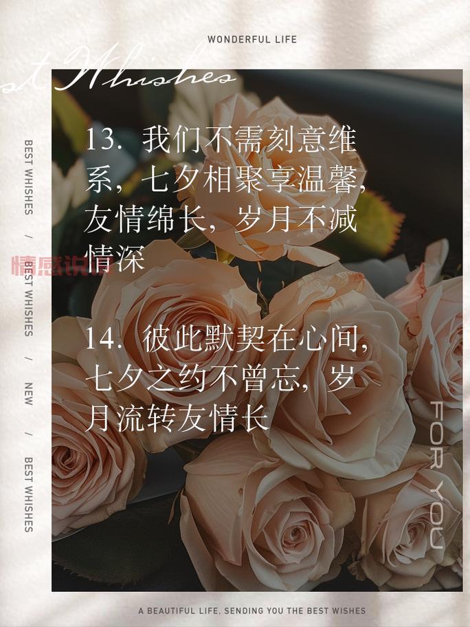 情感婚姻说说：婚姻中的爱与默契如何共存