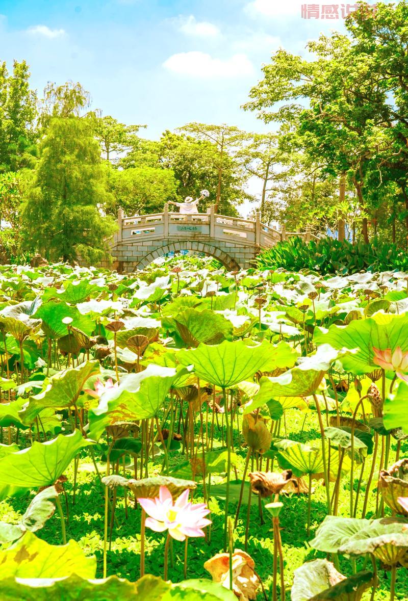 威海当乖交友网：让你轻松结识优质伴侣，畅享社交乐趣