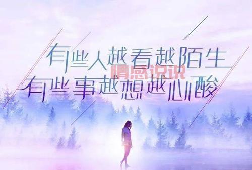 关于情感出轨的心情短语，揭示感情中的痛与无奈