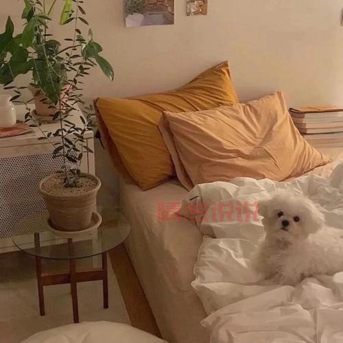 精选个性背景图片，打造专属你的微信朋友圈