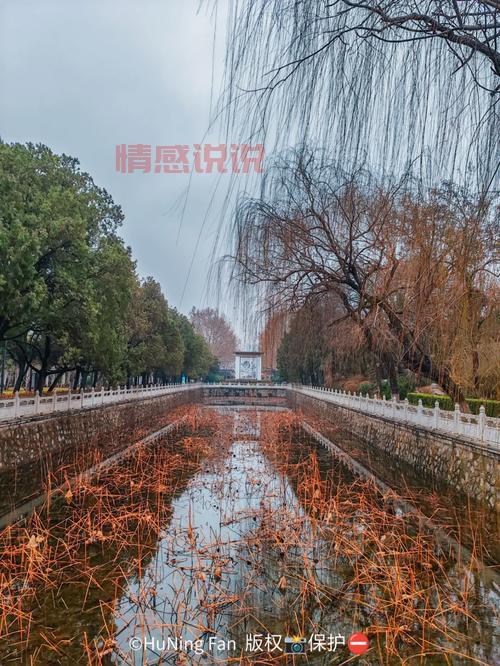 邯郸微信息平台：便捷获取邯郸本地招聘、房产、交友信息