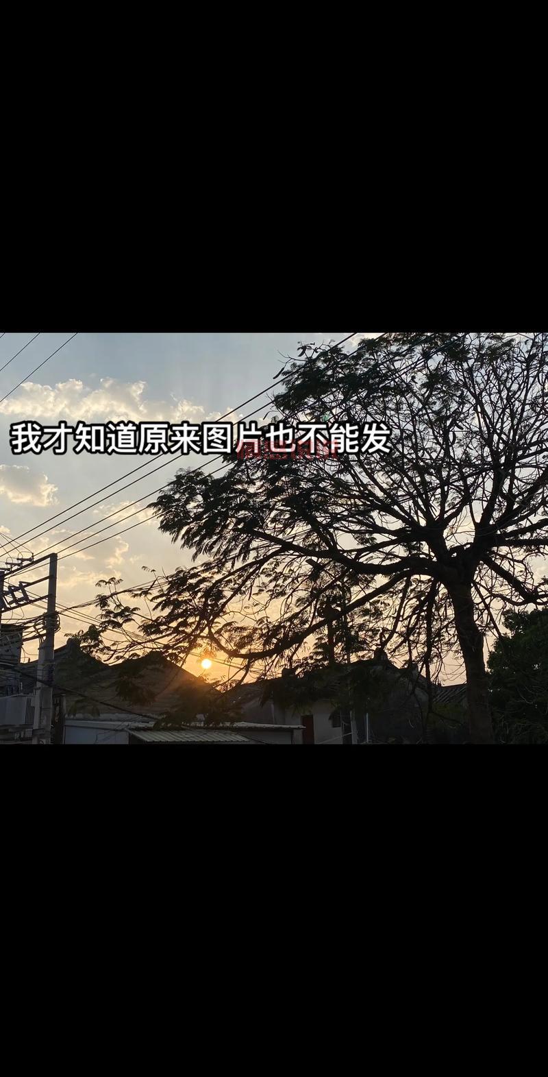 邯郸微信息平台：便捷获取邯郸本地招聘、房产、交友信息